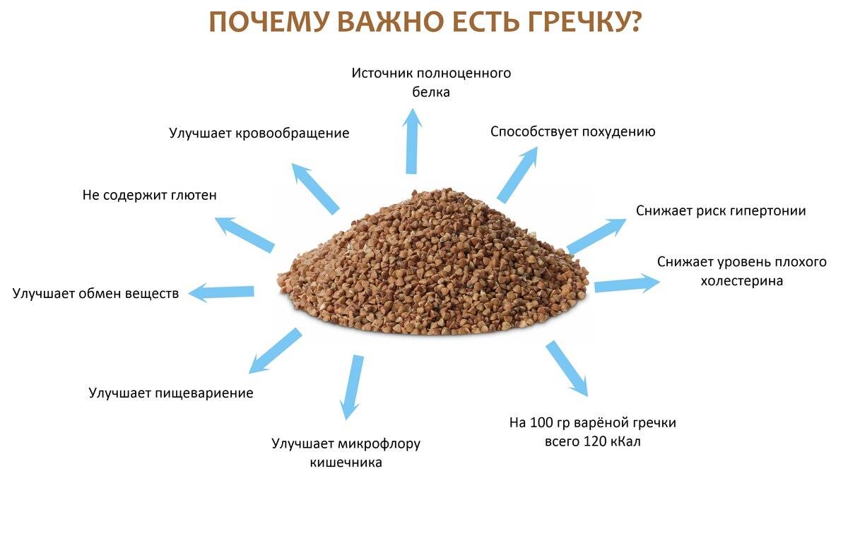 Гречка – польза и вред для здоровья: 10 полезных свойств гречки и противопоказания