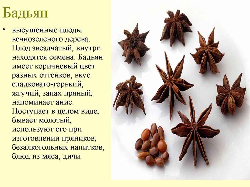 Как использовать специи и пряные травы в приготовлении блюд?: кулинарная шпаргалка | еда и кулинария | школажизни.ру