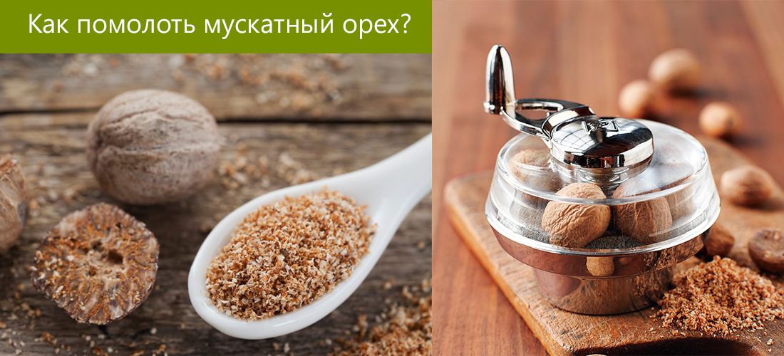 Мускатный орех: 16 полезных свойств, состав, как употреблять?