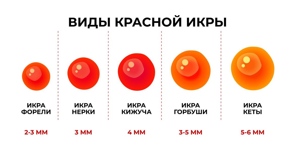 Ключевые различия между черной и красной икрой