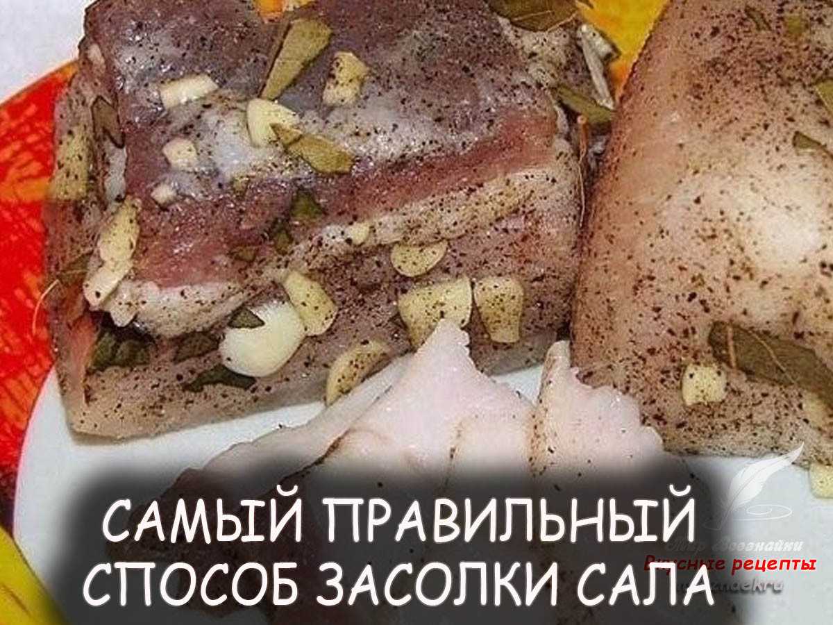 Как вкусно засолить сало – это традиционное украинское блюдо требует знания некоторых тонкостей приготовления