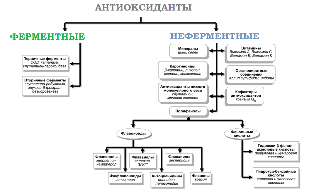В каких продуктах содержатся антиоксиданты и сколько их нужно получать чтобы защититься от старения