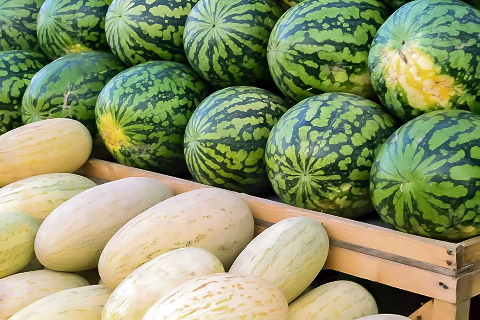 Дыня: виды и польза | food and health