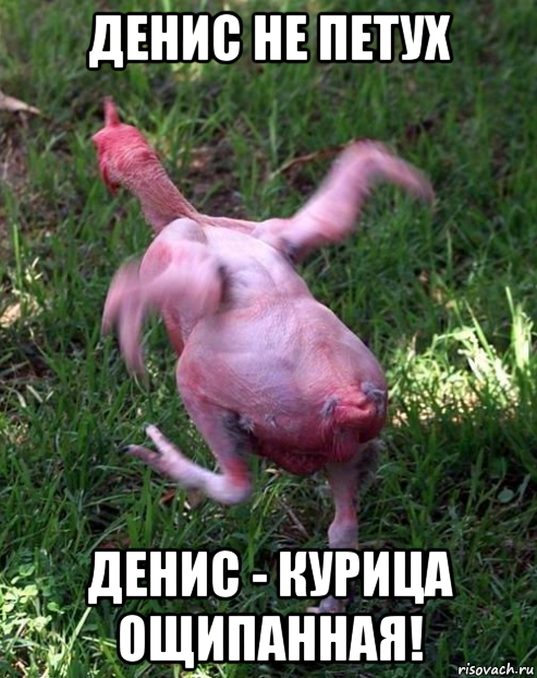 Нужно ли мыть сырое мясо перед приготовлением - hi-news.ru