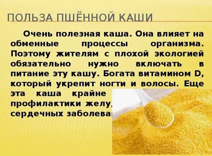 Готовим вкусную пшенную кашу с мясом: рецепты и советы