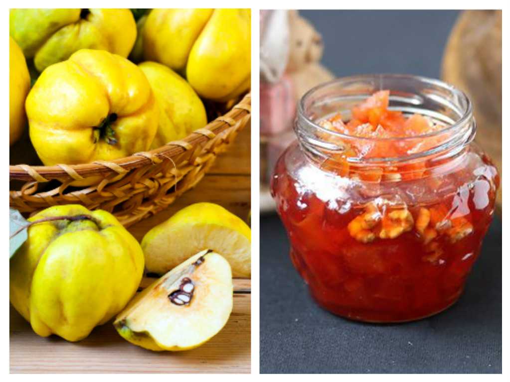Варенье из айвы на зиму - 7 вкусных рецептов айвового варенья