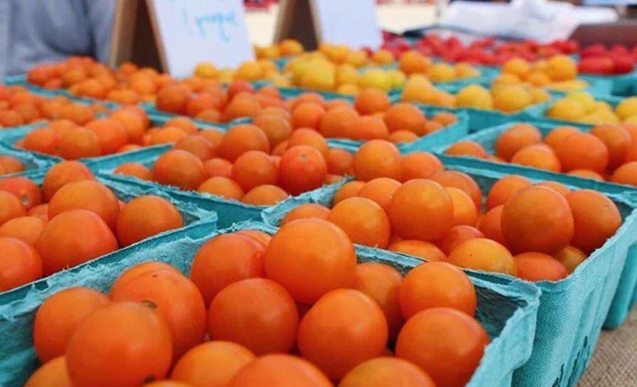 Как выбрать мандарины: сладкие, без косточек, вкусные?