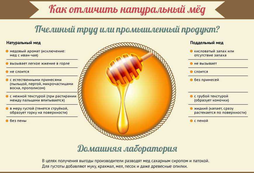 Как отличить настоящий мед от подделки при покупке
