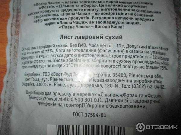 Калина - польза и вред для здоровья человека