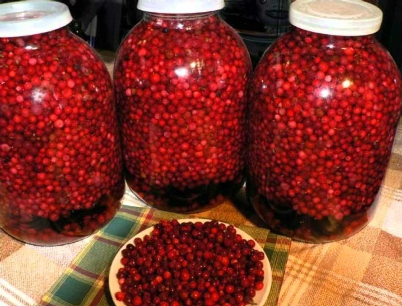 Клюква на зиму: рецепты приготовления