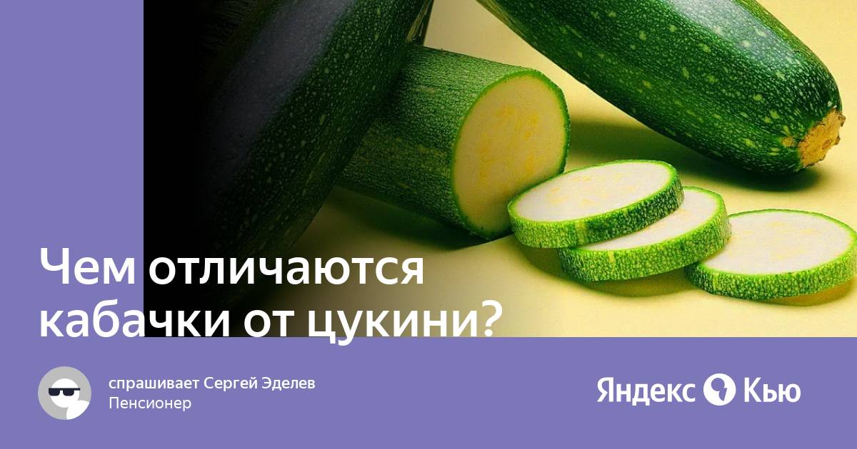 Кабачки жареные с чесноком. топ 5 вкусных рецептов