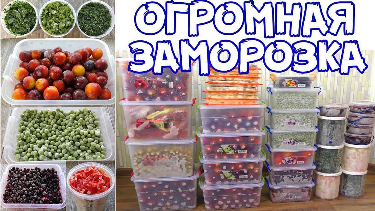 15 продуктов, которые можно замораживать - моя живая еда