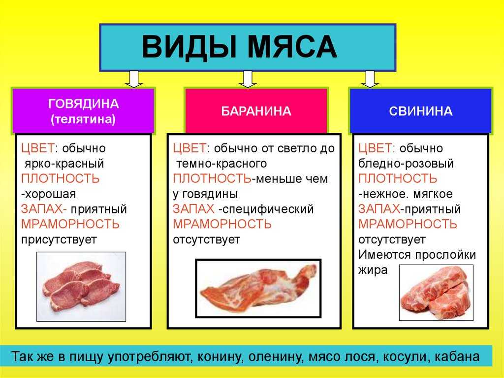 Что приготовить из говядины быстро и вкусно: подборка простых блюд на каждый день. говядина в меню – вкусно и полезно