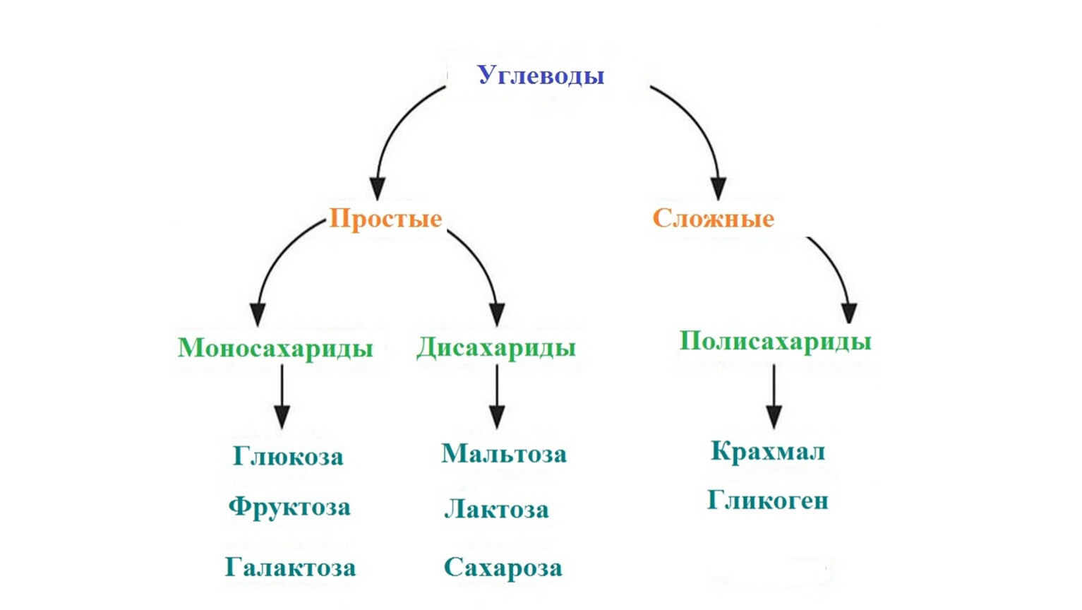 Содержание углеводов в продуктах питания (таблица)