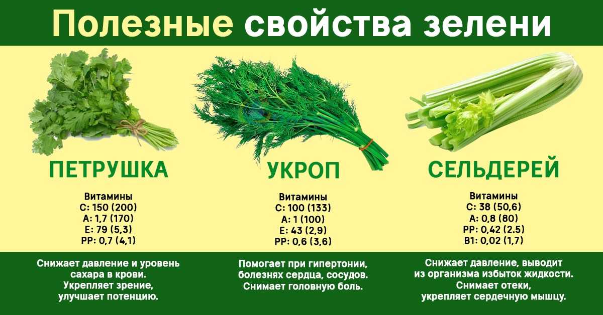 Интересные факты о зеленных овощах презентация, доклад