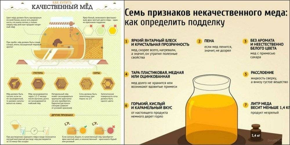 Как правильно выбрать хороший натуральный мёд