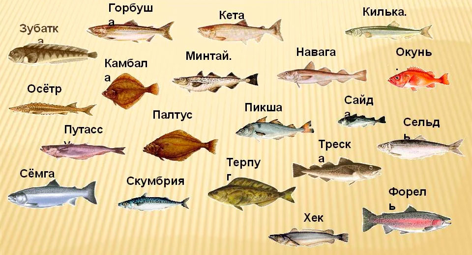 Как пожарить рыбу
