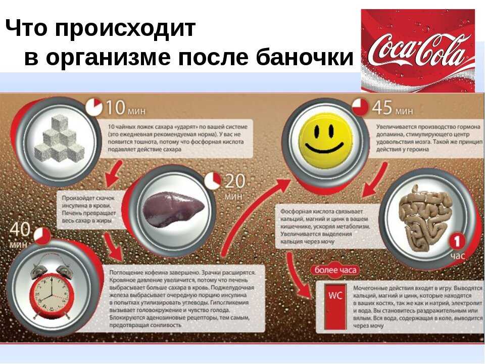 Кока-кола: химический состав напитка и вредное влияние на организм человека