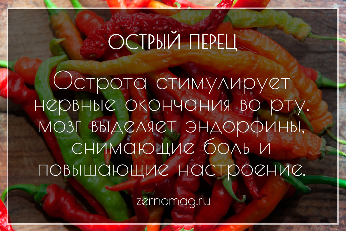 Острая еда польза и вред подобной пищи для организма человека