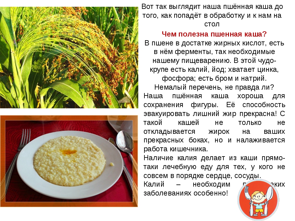 Рецепты из пшена