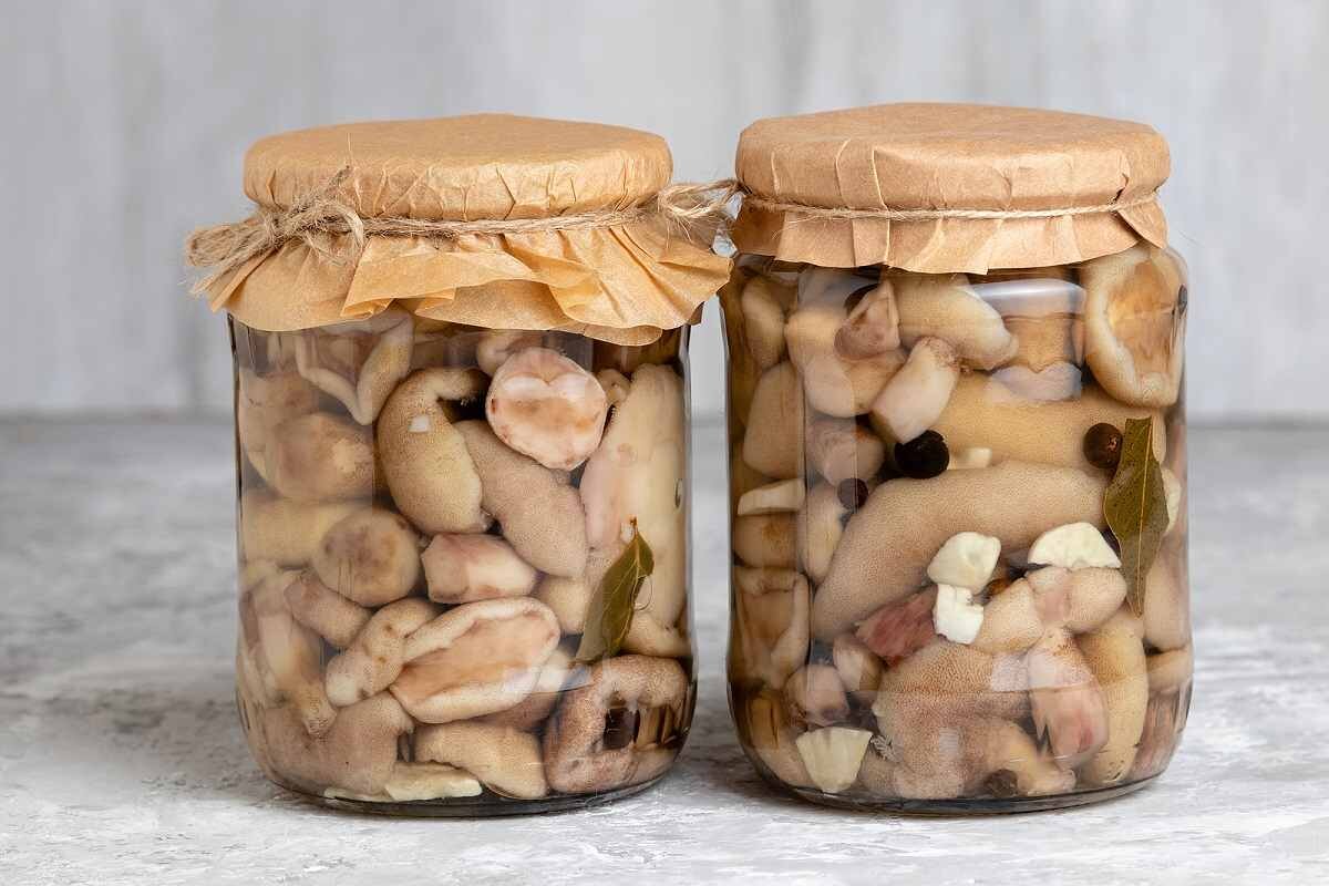 Как мариновать белые грибы на зиму в банках? простые рецепты маринованных белых грибов