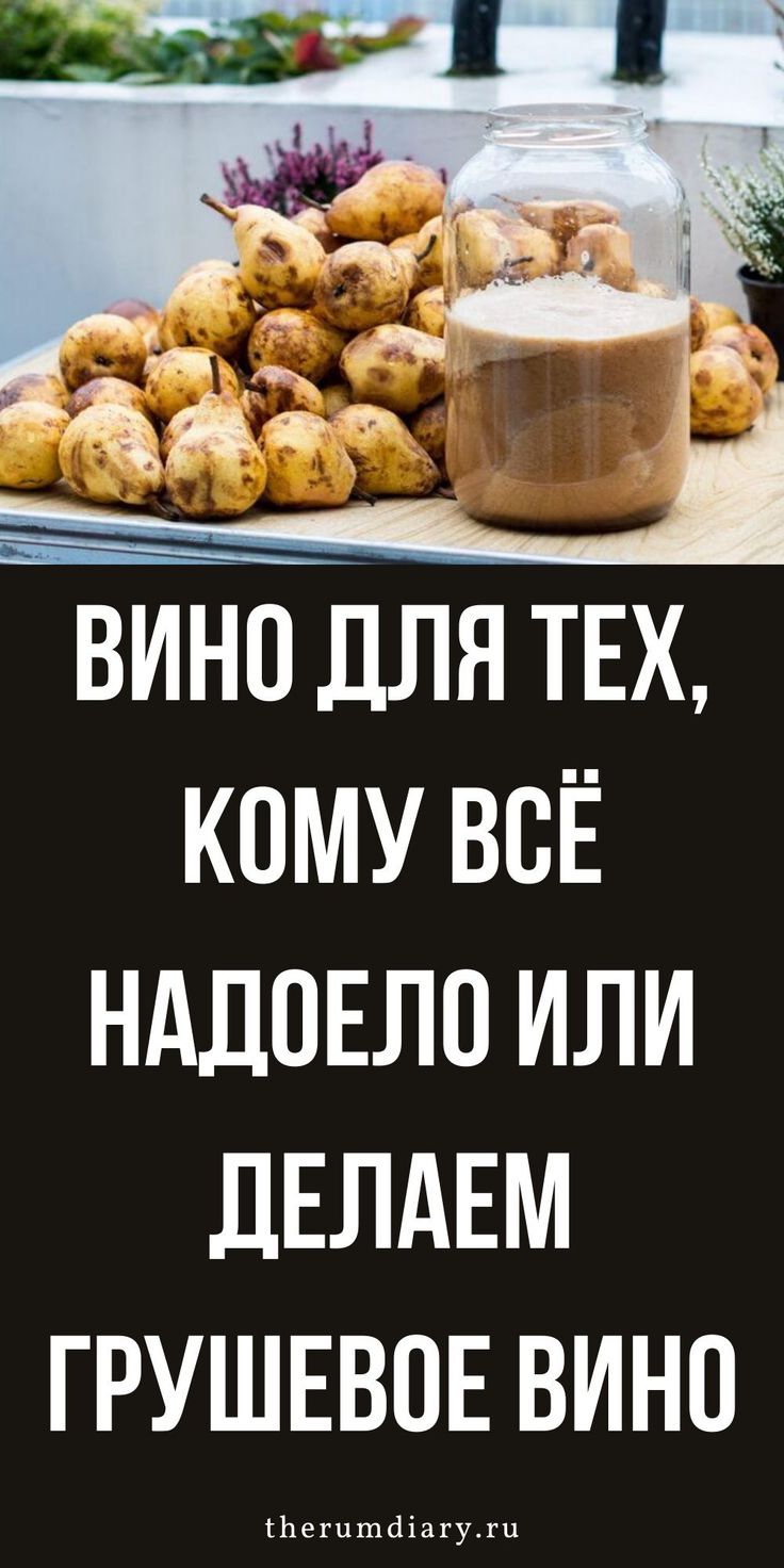 Вино из груш в домашних условиях:технология приготовления и простые рецепты