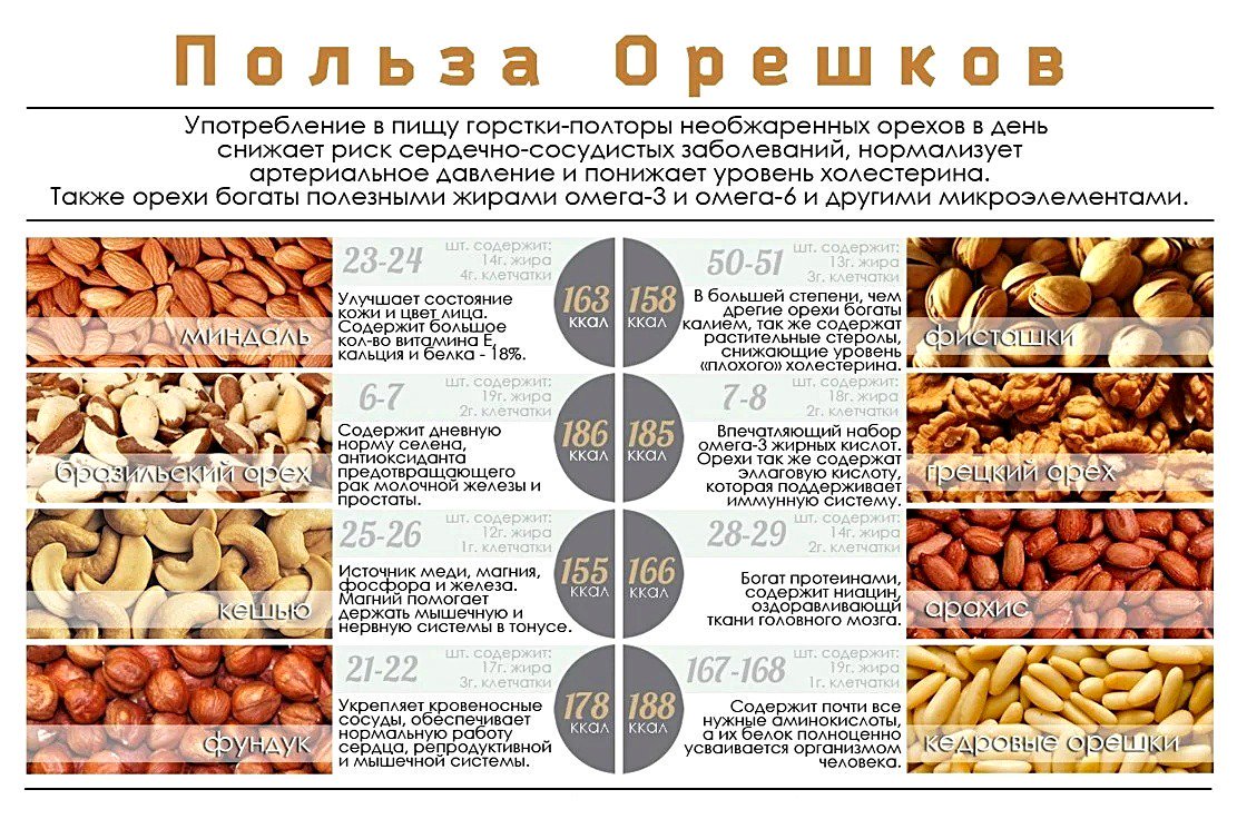 Польза фисташек для организма