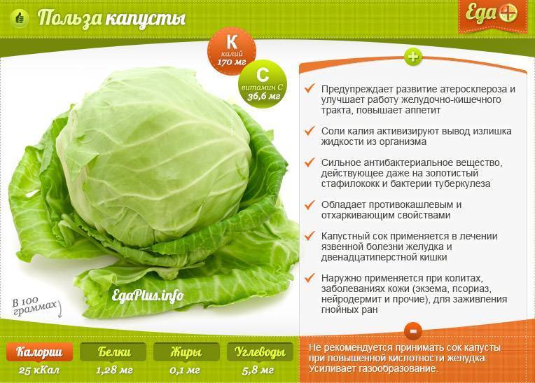 Чёрные точки на пекинской капусте — что это? можно ли есть?