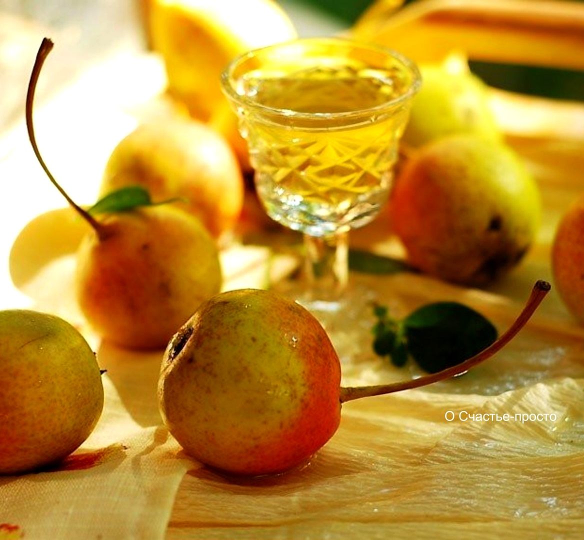 Вино из груши в домашних условиях - 8 простых рецептов