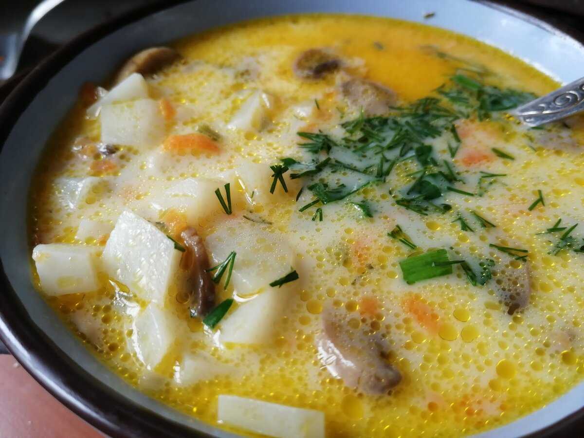 Сырный суп с плавленым сыром, курицей и шампиньонами | волшебная eда.ру