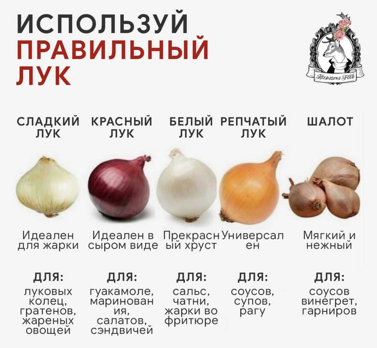 Как убрать горечь из лука: советы профессионалов - samchef.ru