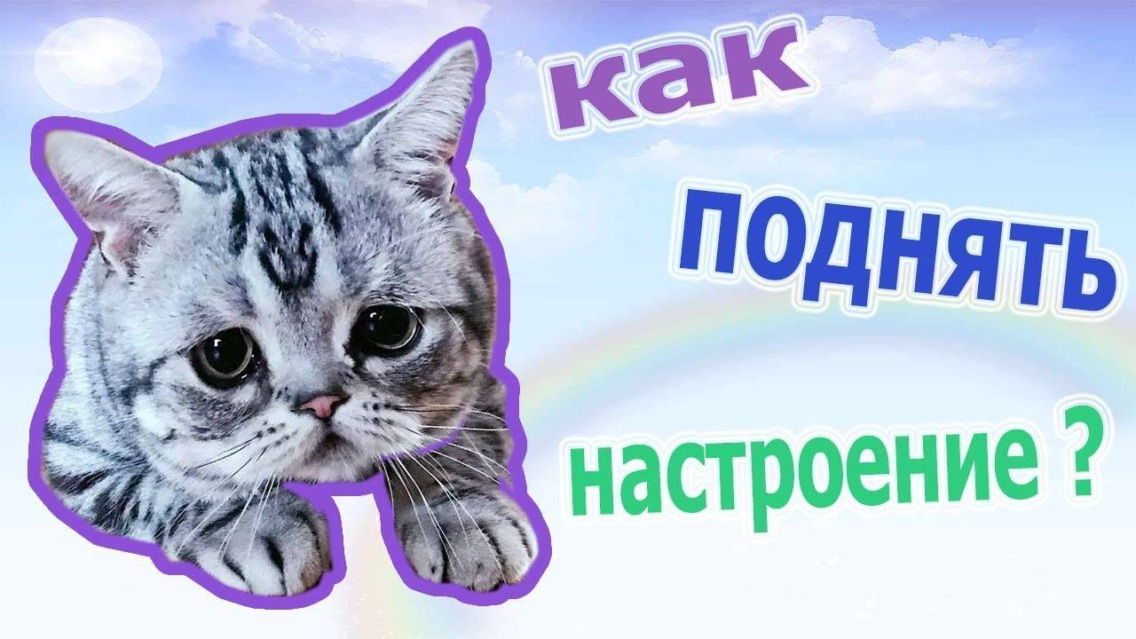 10 способов как поднять настроение зимой