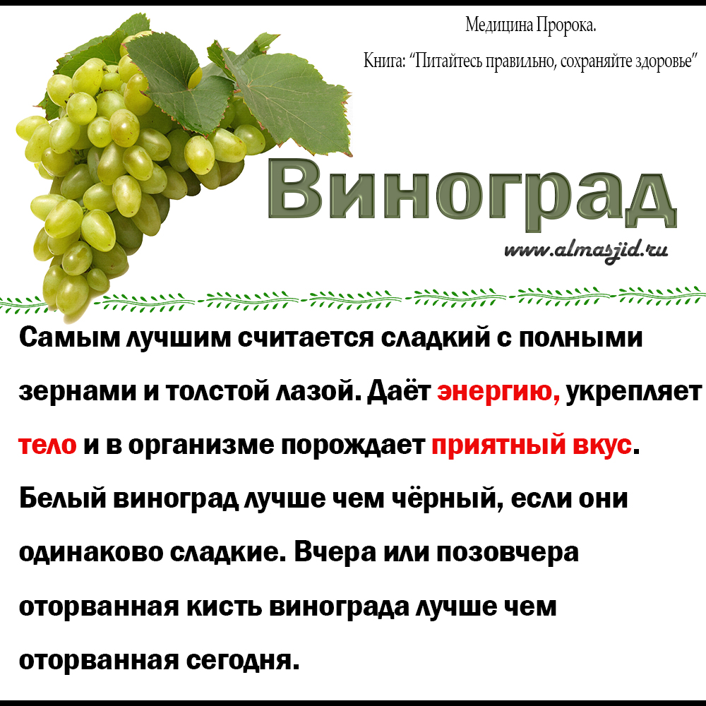 Виноград его польза и вред для организма человека Зеленый черный и красный виноград полезные свойства