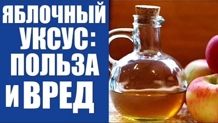 Яблочный уксус польза и вред для организма