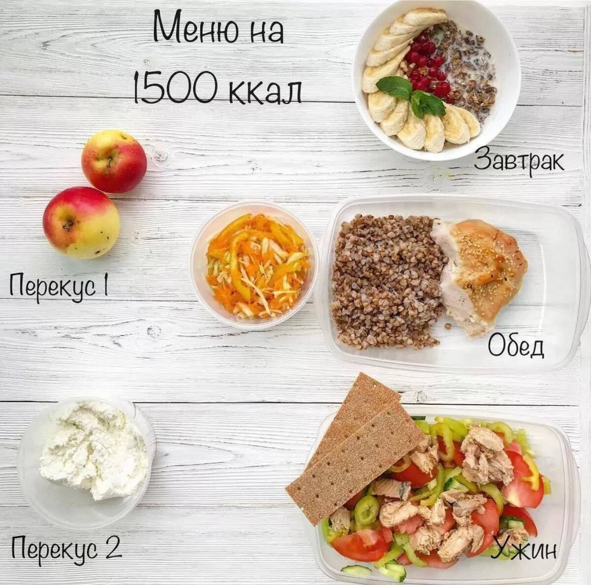 Зожник |   пример рациона на 1500 ккал