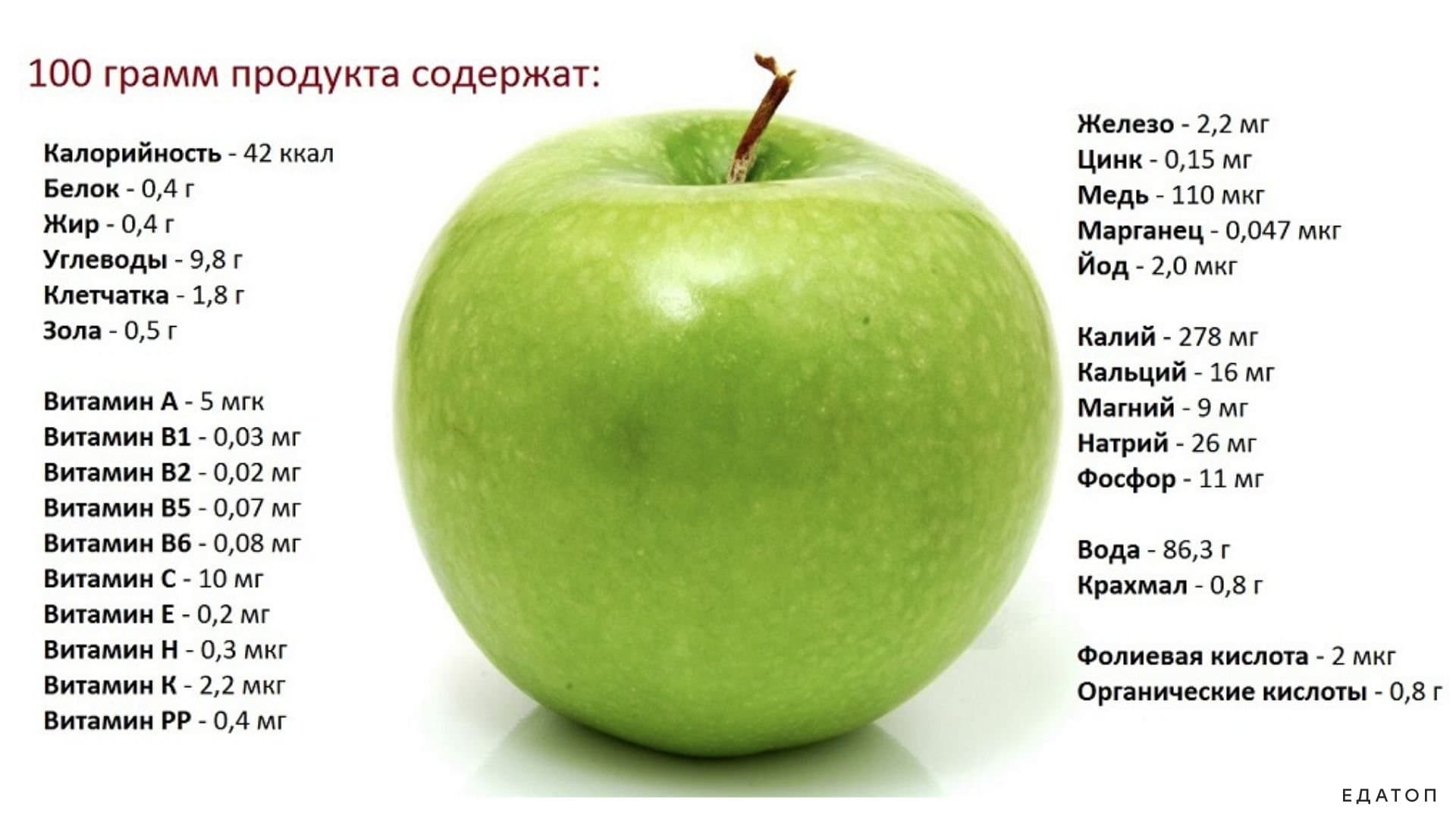 Польза яблок для организма человека