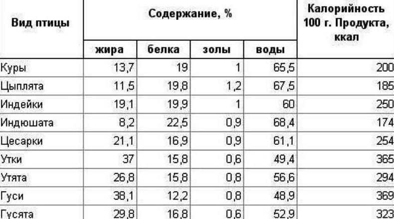 Утка: свойства мяса и польза для организма