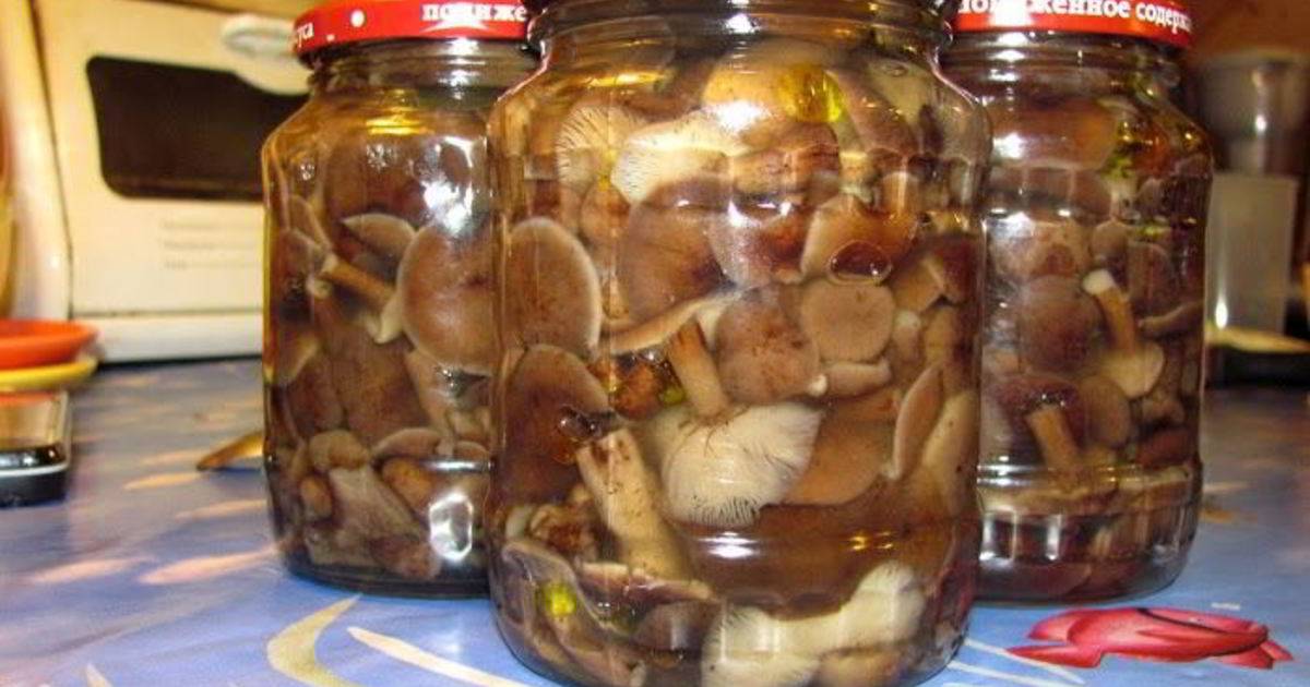 Что можно приготовить с маринованными опятами – самые вкусные блюда + фото
что приготовить с маринованными опятами