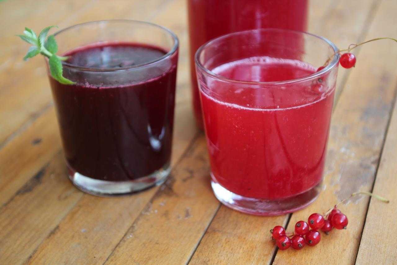 Клюквенный морс: рецепт из замороженных и свежих ягод