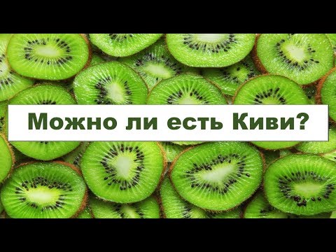 Интересные факты о киви. киви: интересные факты о нелетающей птице. киви и их общая характеристика