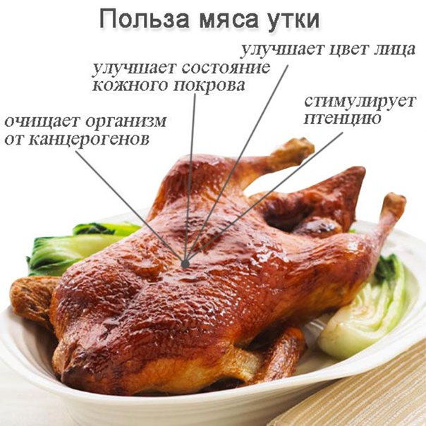 Утиное мясо на нашем столе, польза и вред таких блюд. интересная информация о составе утиного мяса, его пользе и вреде - автор екатерина данилова - журнал женское мнение