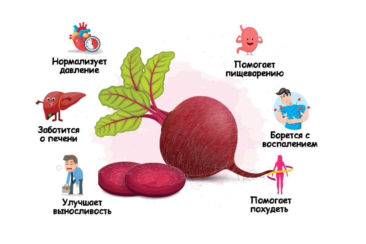 Свекла польза и вред для организма человека