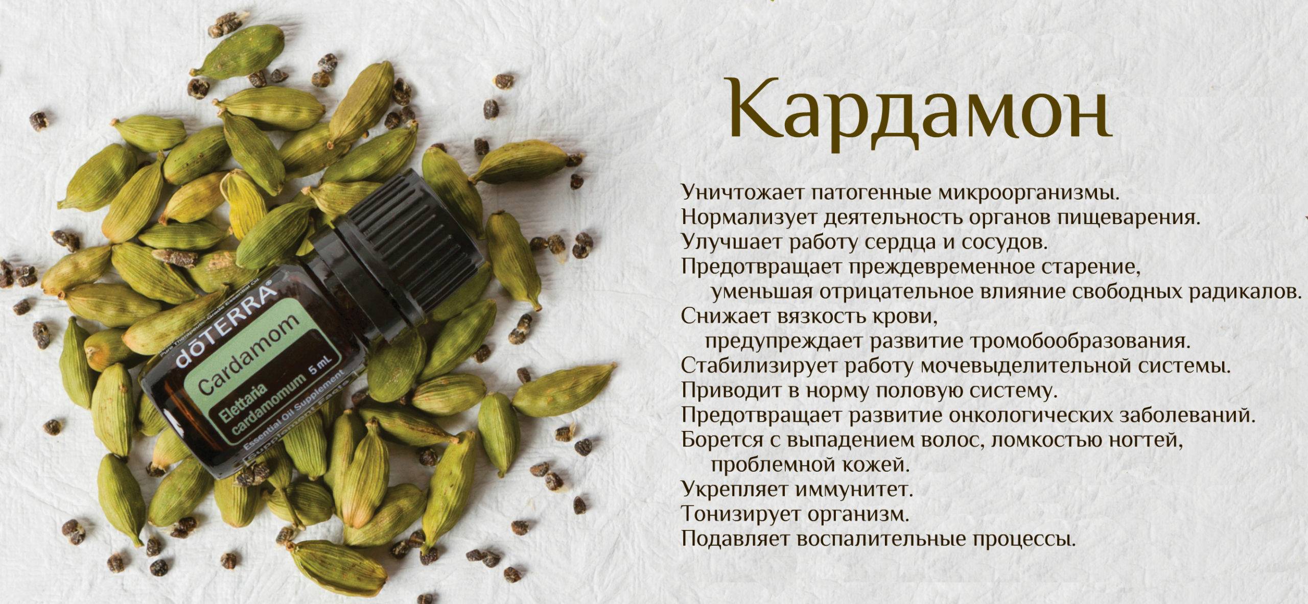 Как сделать индийскую приправу карри на вашей кухне,  не хуже чем в индии