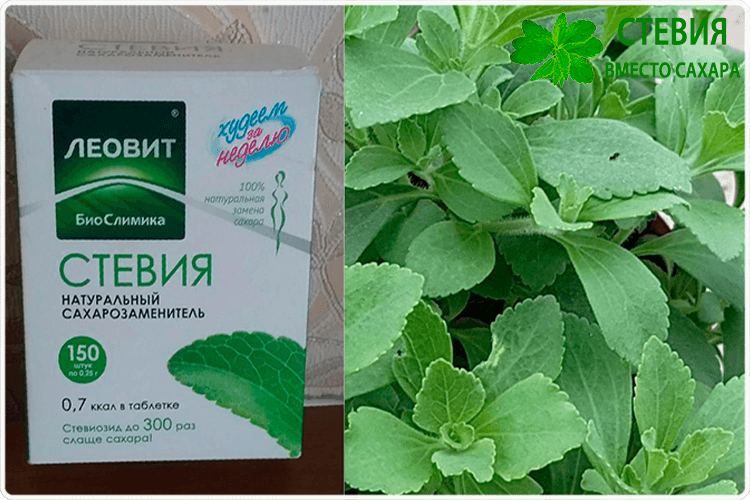 Стевия – что это такое и какая от неё польза?