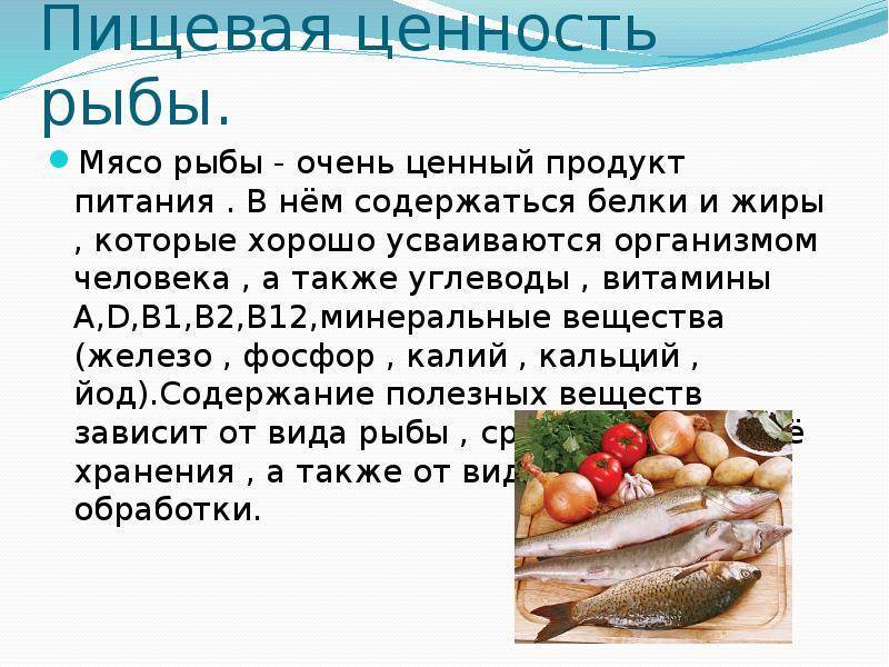 Чем полезна слабосолёная сёмга и её икра для женщин