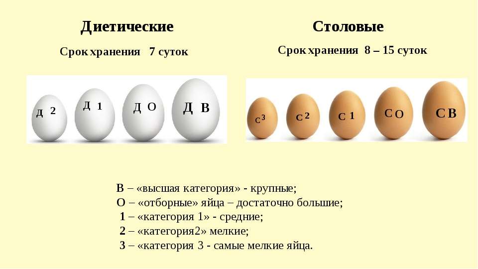 Какие яйца лучше с1, с0 или с2 — отличия категорий и рейтинг производителей 2024