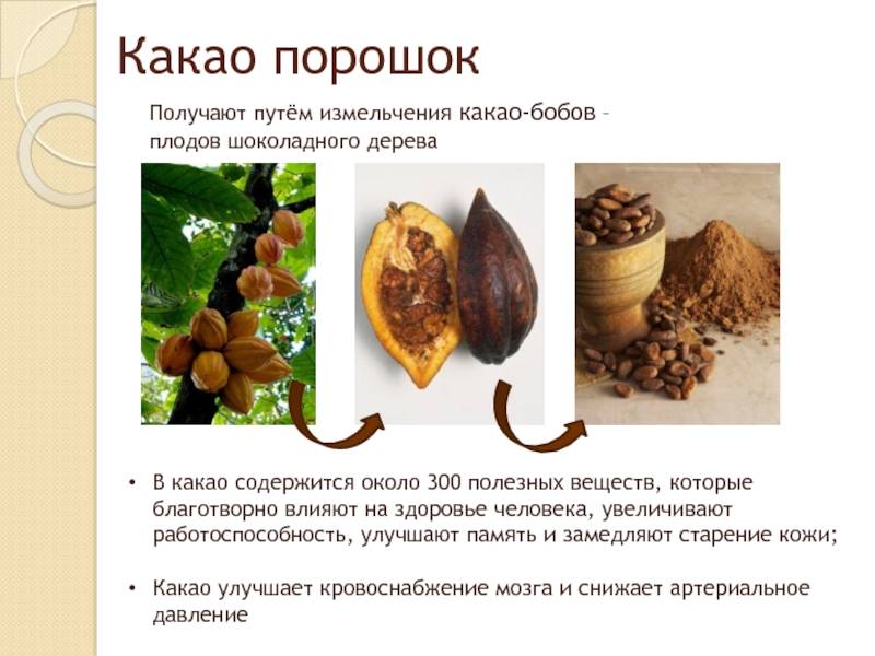 Какао порошок: польза для мужчин и вред здоровью
