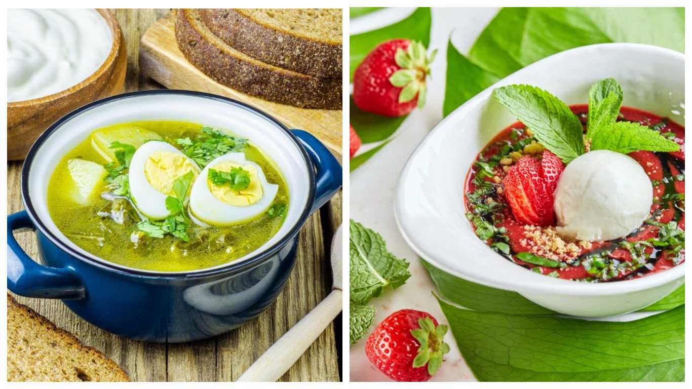 Что приготовить на обед – подборка из 80 лучших супов на любой вкус и немного истории