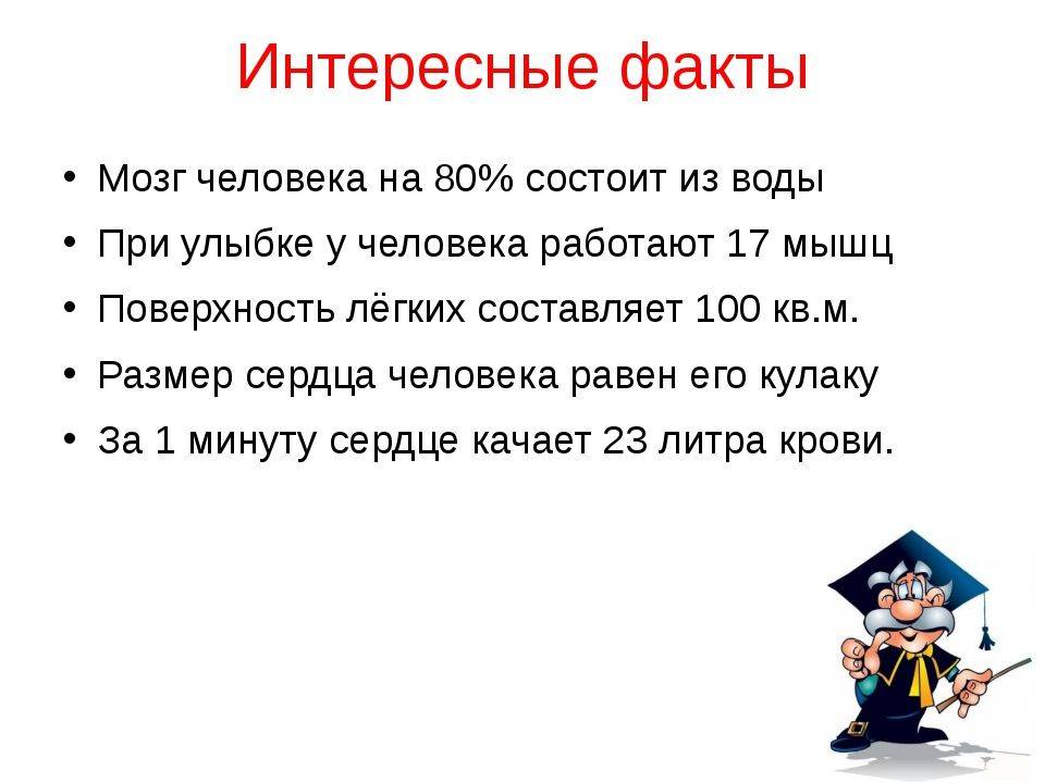 12 интересных, но малоизвестных фактов о твороге