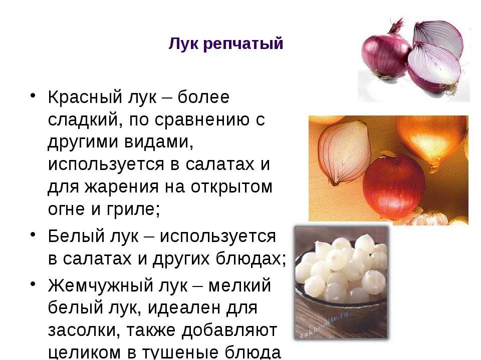 Секреты отличного урожая лука / асиенда.ру